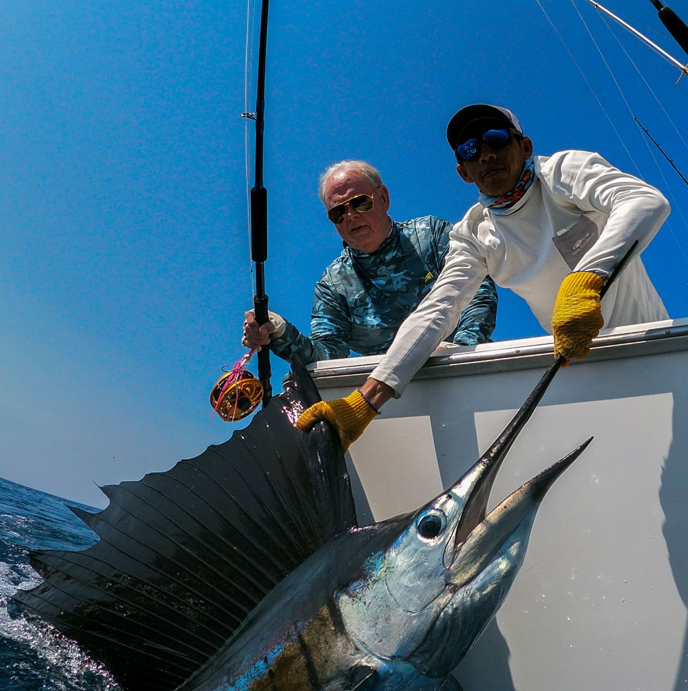 Circle hooks and rigging types used in a study of white marlin