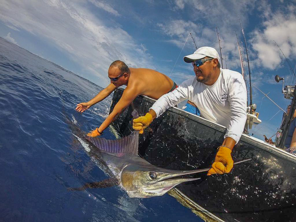 Best Billfish Destination Archives - Page 4 of 5 - Pacificfins Resort